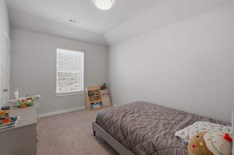 1704 Snowdrop Drive, Celina TX 75078 - Photo 33