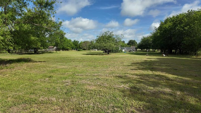 6709 Sue Ann Lane, Terrell TX 75161 - Photo 22