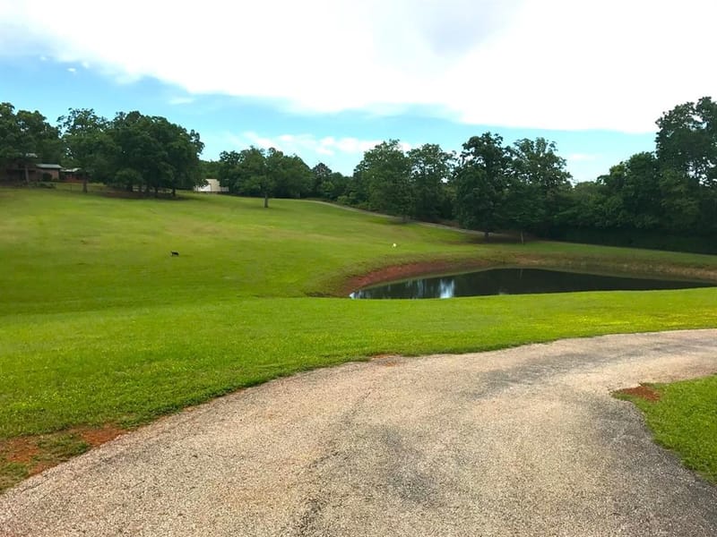 440 VZ County Road 4814, Ben Wheeler TX 75754 - Photo 6