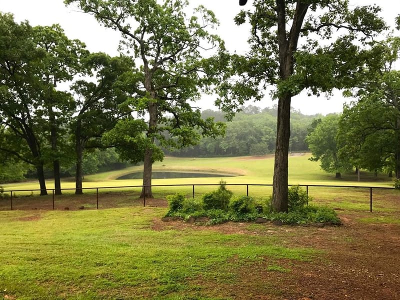 440 VZ County Road 4814, Ben Wheeler TX 75754 - Photo 8