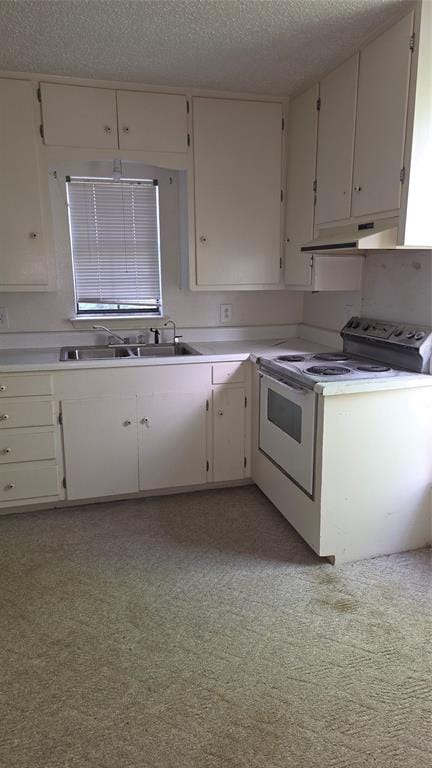 313 N Pearl Street, Trenton TX 75490 - Photo 12