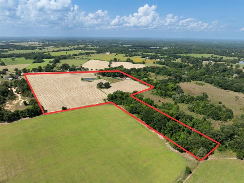 2715 FM 857, Grand Saline TX 75140 - Photo 40