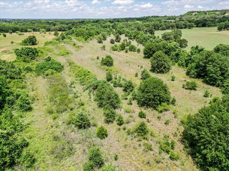 876 Old Authon Road, Weatherford TX 76088 - Photo 17
