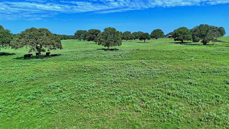 8752 Fm 1749, Sunset TX 76270 - Photo 6