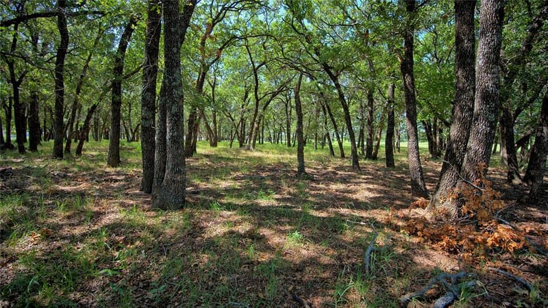8752 Fm 1749, Sunset TX 76270 - Photo 10