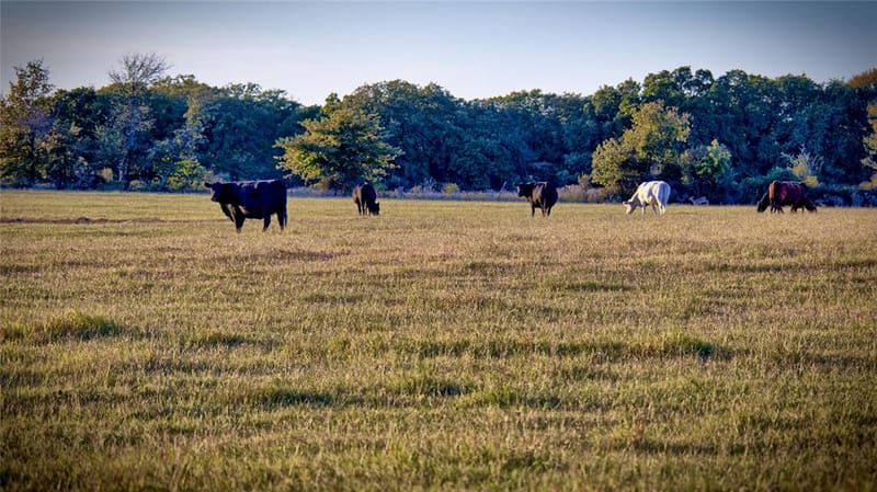 8752 Fm 1749, Sunset TX 76270 - Photo 37