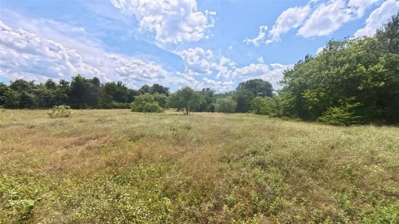 510 New Highland Road, Springtown TX 76082 - Photo 6