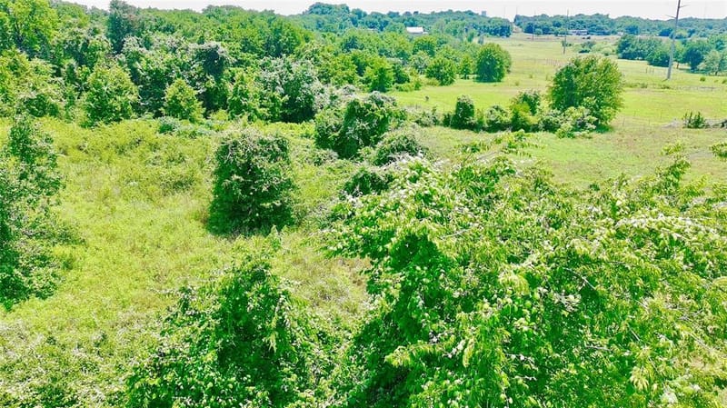510 New Highland Road, Springtown TX 76082 - Photo 21