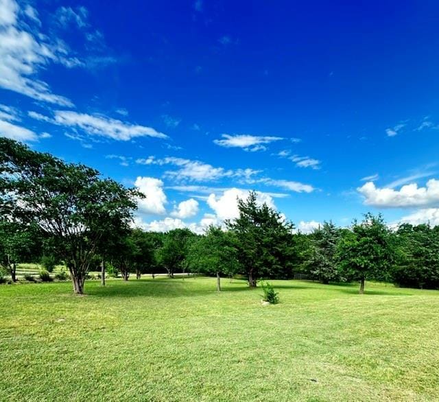 303 Celtic Road, Howe TX 75459 - Photo 32