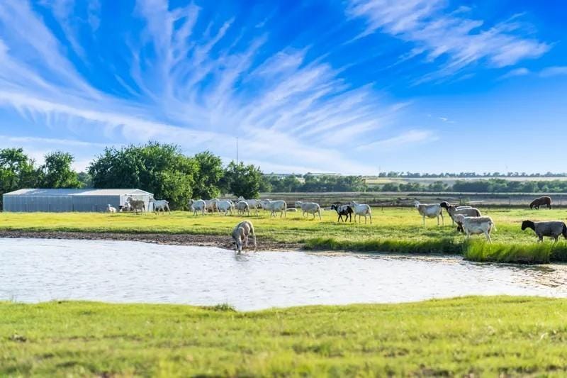 8085 Jackson Road, Krum TX 76249 - Photo 37