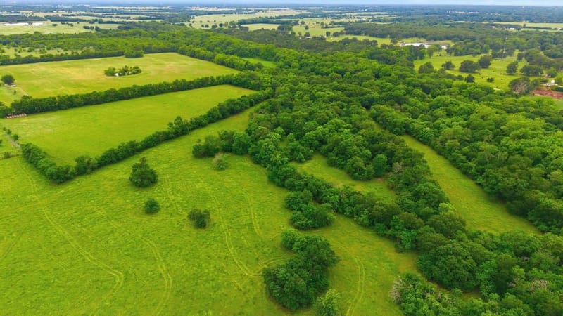 7635 County Road 4209, Campbell TX 75422 - Photo 13
