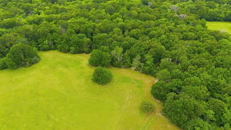 7635 County Road 4209, Campbell TX 75422 - Photo 17