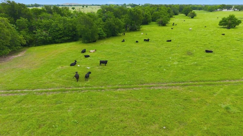 7635 County Road 4209, Campbell TX 75422 - Photo 20