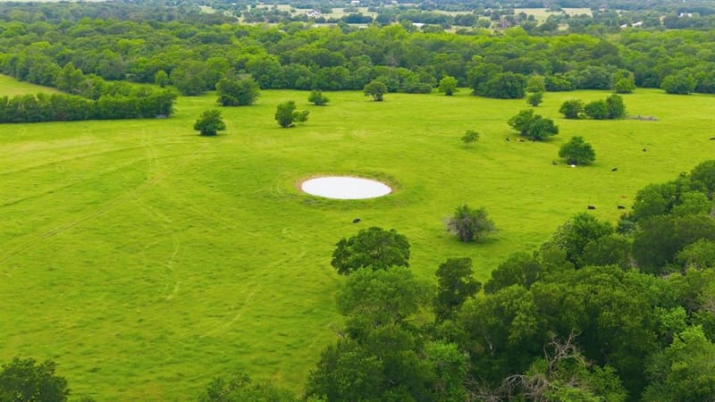 7635 County Road 4209, Campbell TX 75422 - Photo 10
