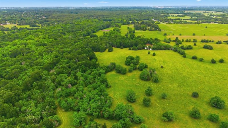 7635 County Road 4209, Campbell TX 75422 - Photo 14