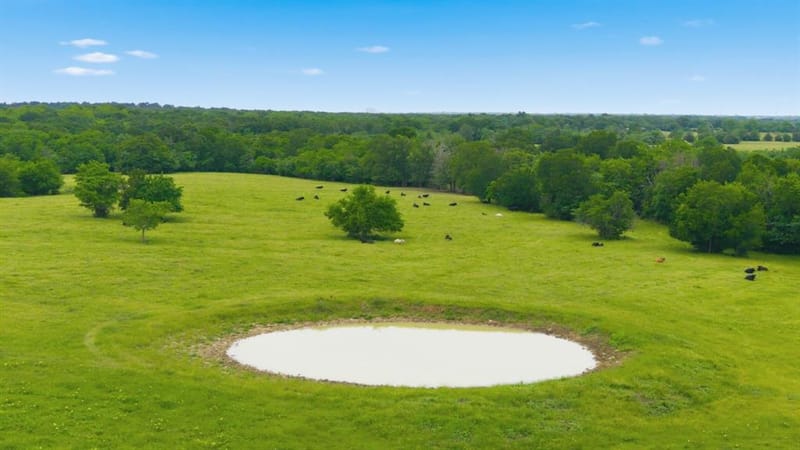 7635 County Road 4209, Campbell TX 75422 - Photo 11