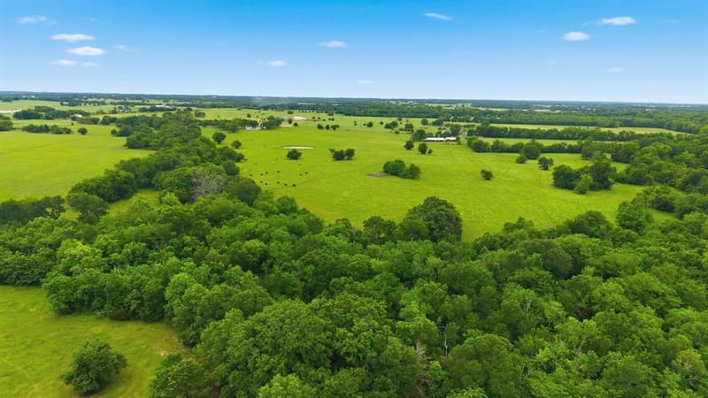 7635 County Road 4209, Campbell TX 75422 - Photo 19