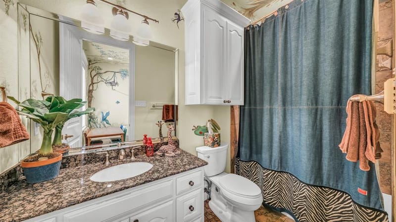 115 Autumn Springs Court, Weatherford TX 76087 - Photo 25