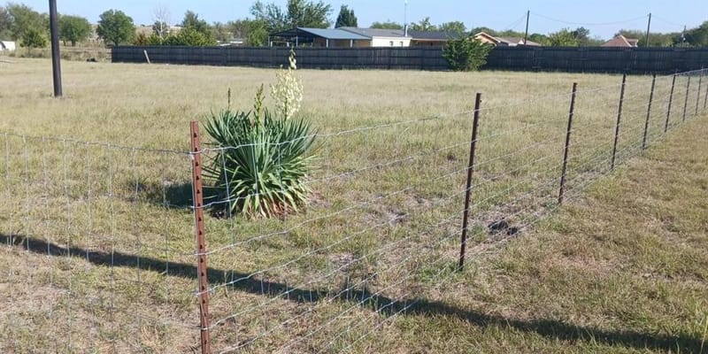 7739 NW County Road 1200, Barry TX 75102 - Photo 10