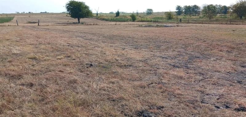 7739 NW County Road 1200, Barry TX 75102 - Photo 11