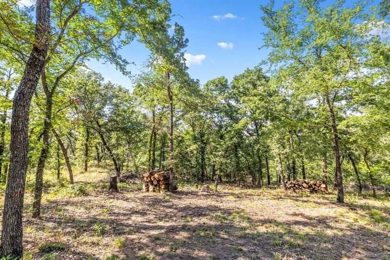 1020 Oak View Drive, Oak Point TX 75068 - Photo 30