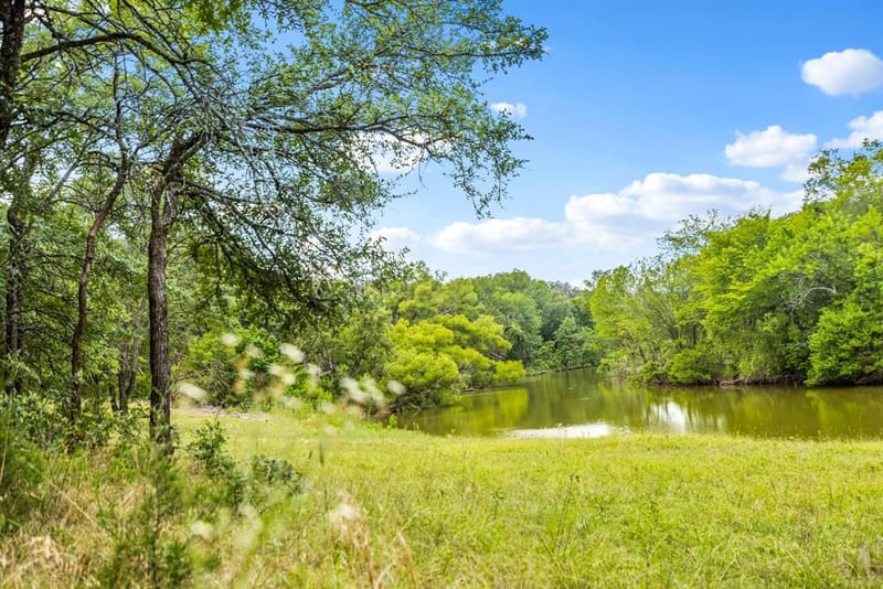 1020 Oak View Drive, Oak Point TX 75068 - Photo 34