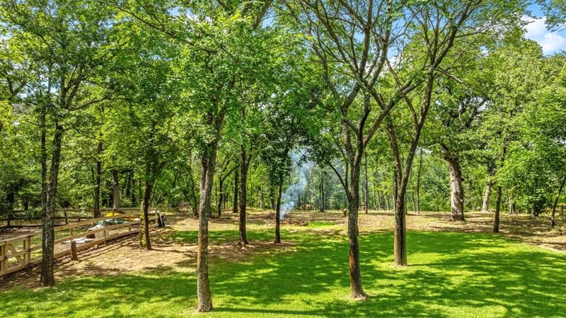1020 Oak View Drive, Oak Point TX 75068 - Photo 31