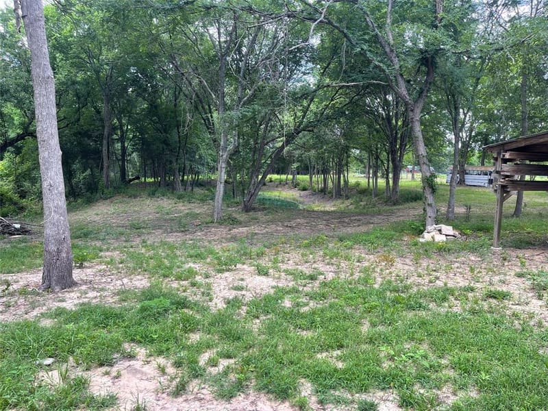 8278 FM 17, Grand Saline TX 75140 - Photo 7