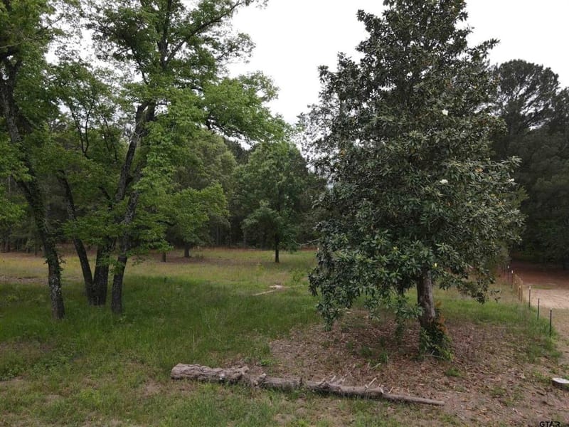13041 County Road 4122, Lindale TX 75771 - Photo 3