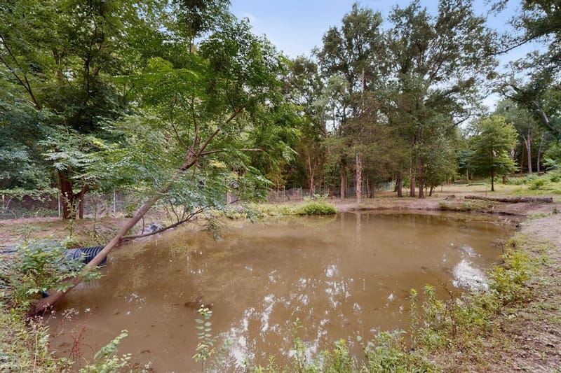 10823 Lakeview Trail, Quinlan TX 75474 - Photo 38