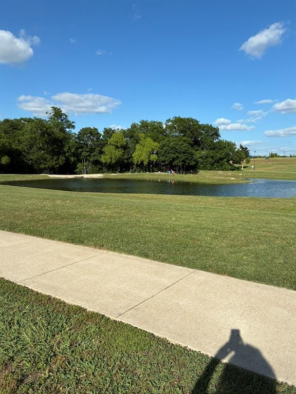 230 Double Creek Drive, Midlothian TX 76065 - Photo 33