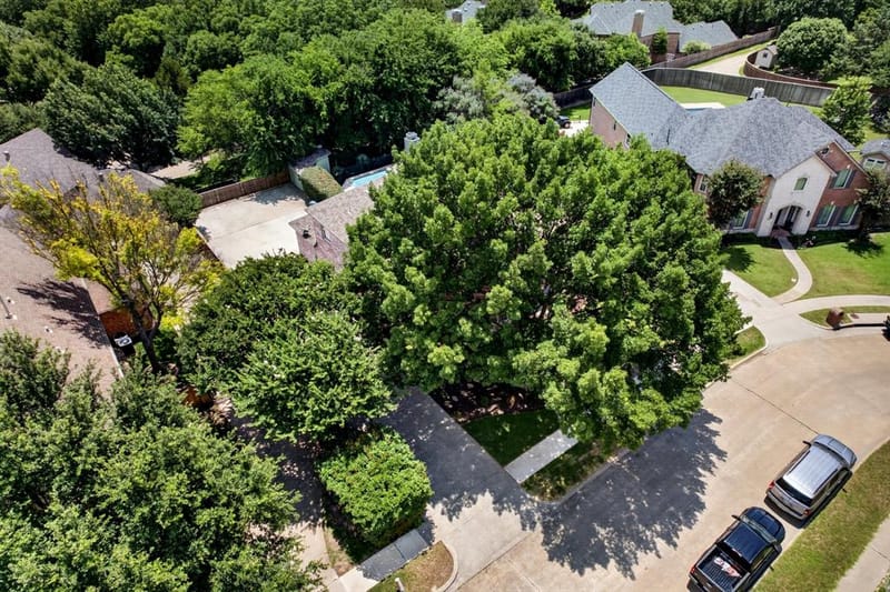 3209 Normandy Drive, McKinney TX 75070 - Photo 35