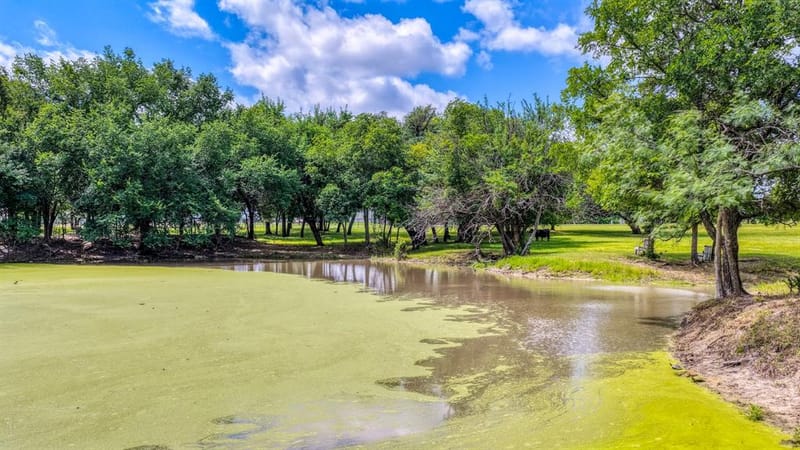 1275 Old Reno Road, Reno TX 76082 - Photo 35