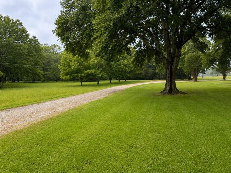 4832 N State Highway 78, Bonham TX 75418 - Photo 37