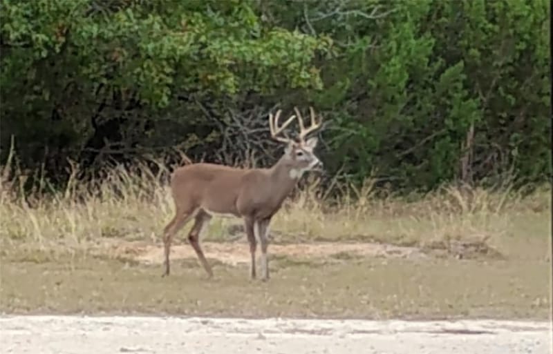 3851 County Road 156 Road, Bluff Dale TX 76433 - Photo 36