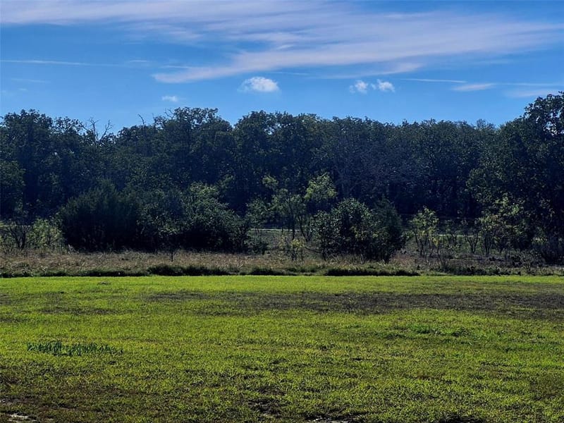 3851 County Road 156 Road, Bluff Dale TX 76433 - Photo 30