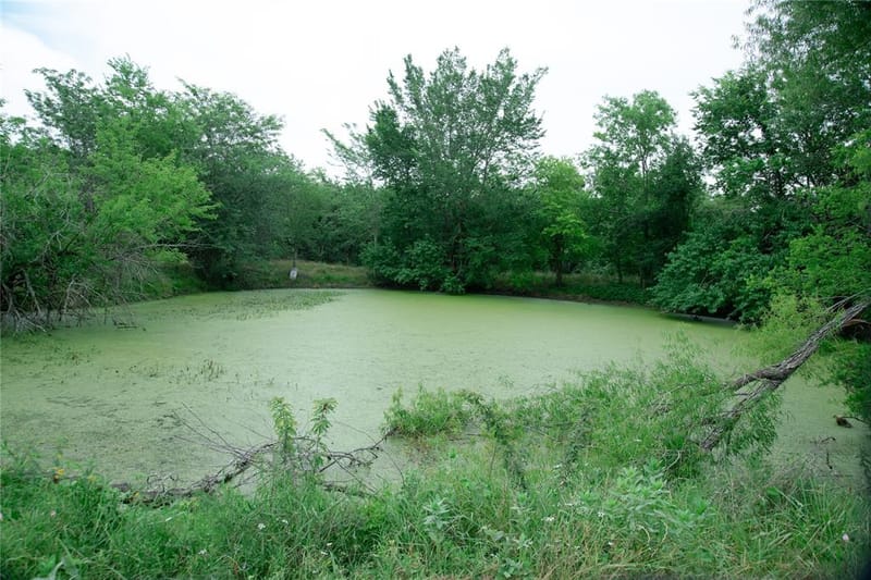 5997 County Road 3214, Lone Oak TX 75453 - Photo 9
