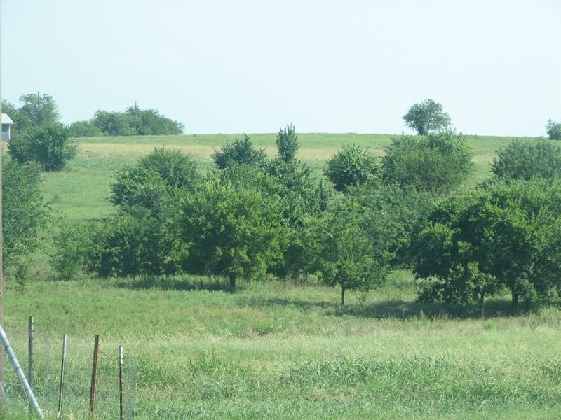 389 Hilltop Trail, New Fairview TX 76078 - Photo 23