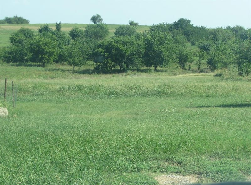389 Hilltop Trail, New Fairview TX 76078 - Photo 6