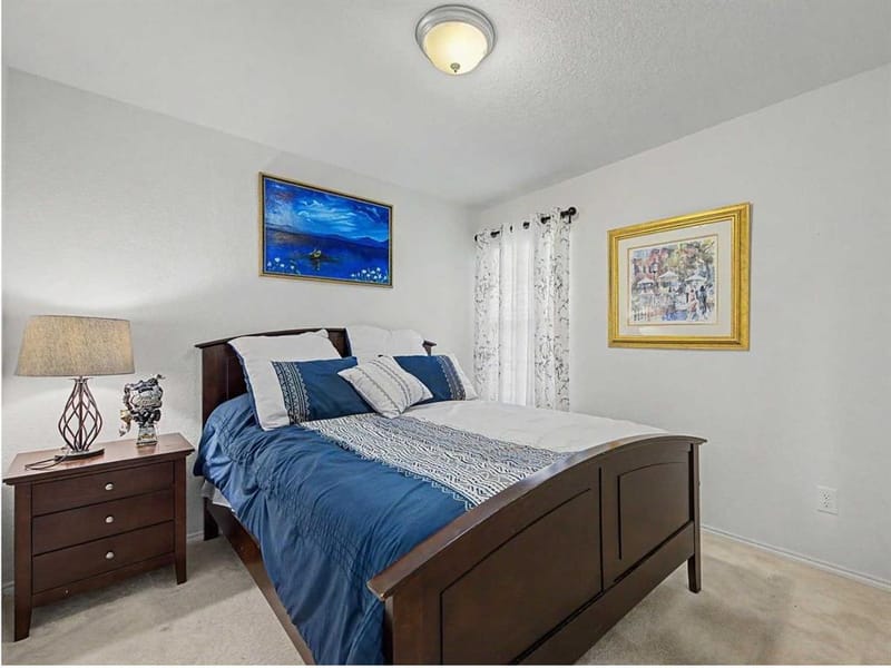 6993 Hickory Creek Drive, Frisco TX 75036 - Photo 17