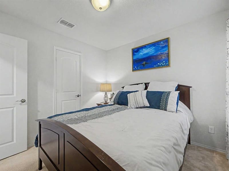 6993 Hickory Creek Drive, Frisco TX 75036 - Photo 18
