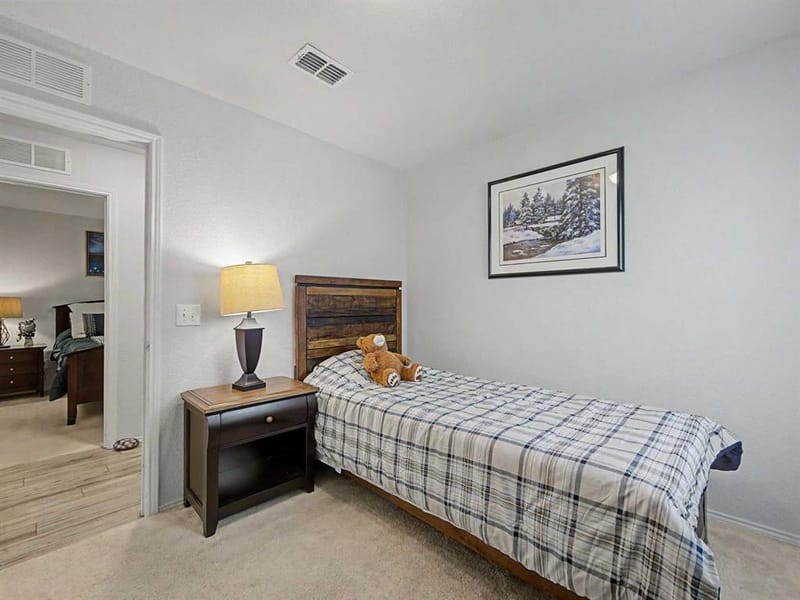 6993 Hickory Creek Drive, Frisco TX 75036 - Photo 21