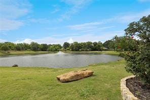 411 Rock Meadow Trail, Mansfield TX 76063 - Photo 34