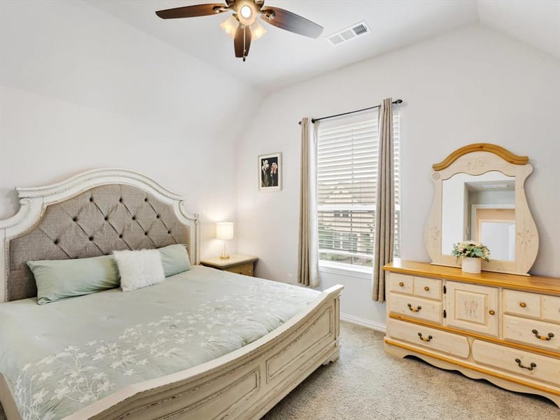 15714 Crape Myrtle Road, Frisco TX 75035 - Photo 29