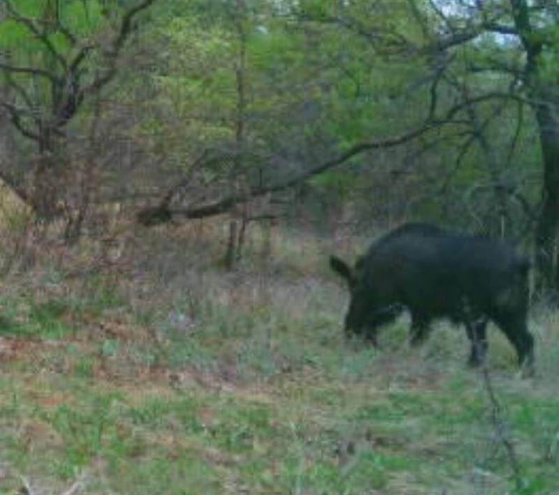 13100 US 281 North, Jacksboro TX 76458 - Photo 5