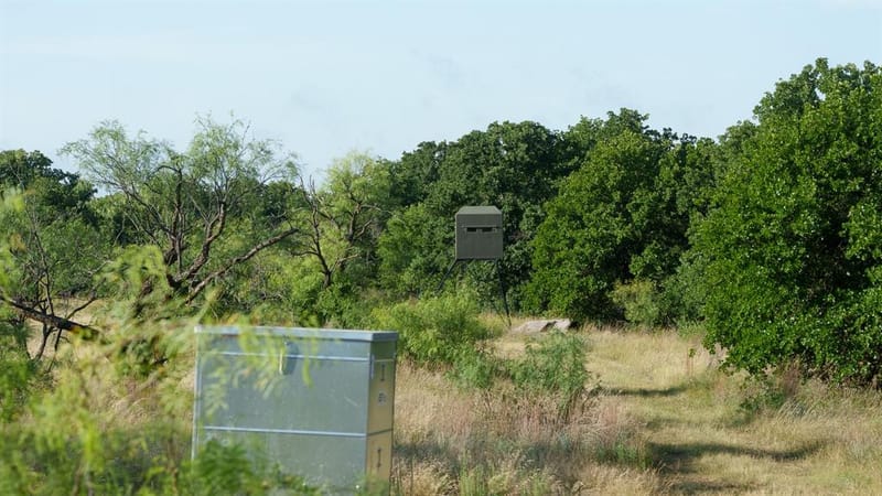 13100 US 281 North, Jacksboro TX 76458 - Photo 10