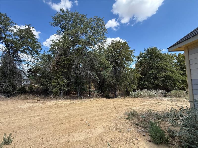 277 Zebrastone Way, Poolville TX 76487 - Photo 17