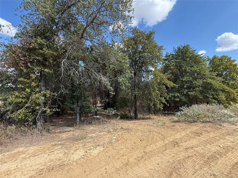 277 Zebrastone Way, Poolville TX 76487 - Photo 18