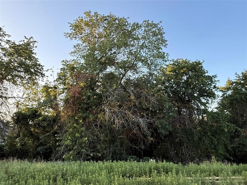 277 Zebrastone Way, Poolville TX 76487 - Photo 19
