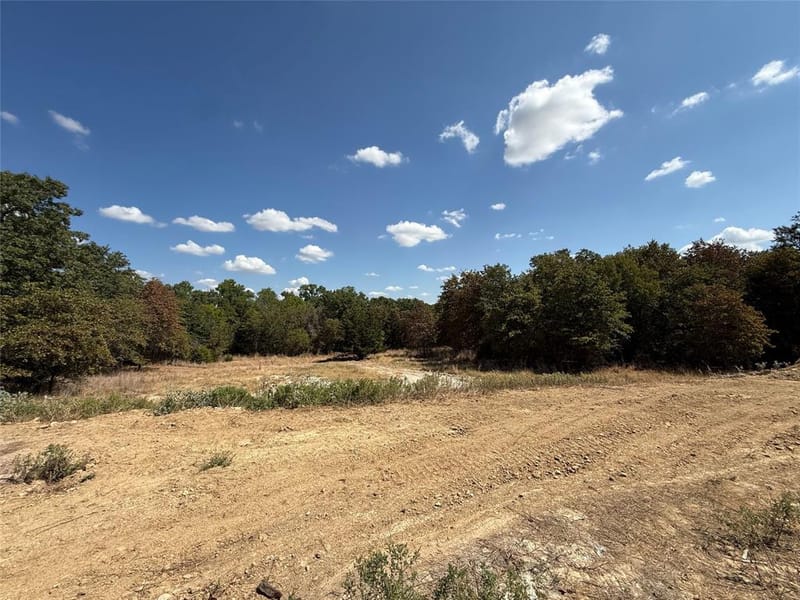 281 Zebrastone Way, Poolville TX 76487 - Photo 21